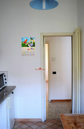 Appartamento in vendita a Forlì, Due Giugno, Con giardino, 80 mq - Foto 17