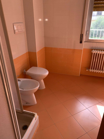 Appartamento in affitto a Cesate, 115 mq - Foto 10