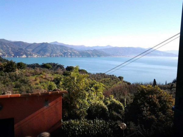 Appartamento in vendita a Portofino, Terruzzo, Con giardino, 160 mq - Foto 17