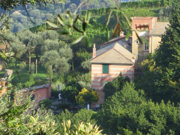 Appartamento in vendita a Portofino, Terruzzo, Con giardino, 160 mq - Foto 13