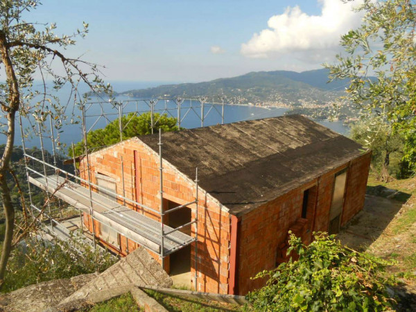 Villa in vendita a Zoagli, Cornice Di S.ambrogio, Con giardino, 150 mq - Foto 14