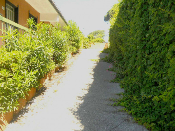 Casa indipendente in vendita a Moneglia, Lemeglio, Con giardino, 1000 mq - Foto 11