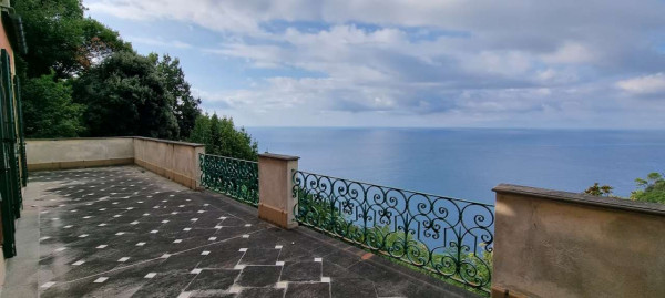 Villa in vendita a Portofino, Residenziale, Con giardino, 400 mq - Foto 16