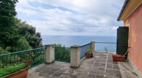 Villa in vendita a Portofino, Residenziale, Con giardino, 400 mq - Foto 20