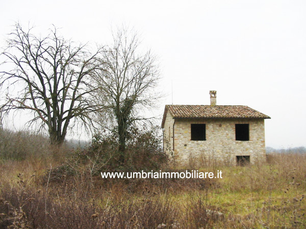 Rustico/Casale in vendita a Massa Martana, Con giardino, 140 mq - Foto 6