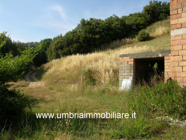 Rustico/Casale in vendita a Montecchio, Con giardino, 250 mq - Foto 8