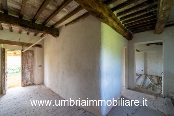 Rustico/Casale in vendita a Marsciano, Con giardino, 400 mq - Foto 7