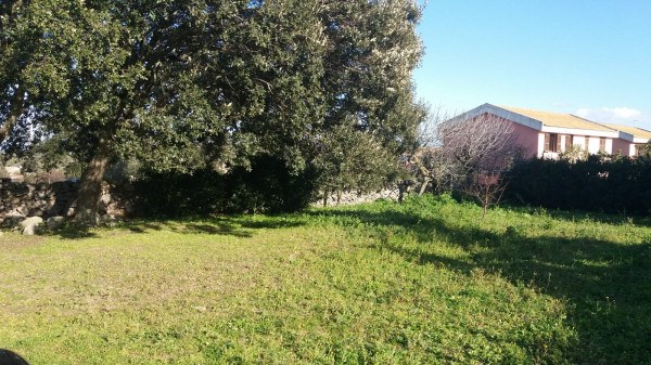 Casa indipendente in vendita a Telti, Località Lu Naracu, Con giardino, 172 mq - Foto 4
