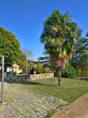 Rustico/Casale in vendita a Città di Castello, Badia Petroia, Con giardino, 280 mq - Foto 16