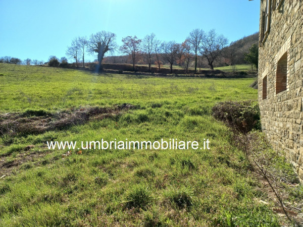 Locale Commerciale  in vendita a Assisi, Paradiso, Con giardino, 274 mq - Foto 11