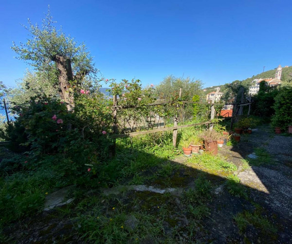 Appartamento in vendita a Chiavari, Sant'andrea Di Rovereto, Con giardino, 100 mq - Foto 22