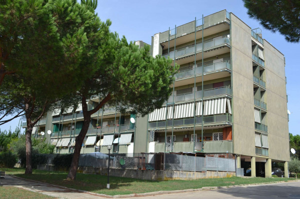 Appartamento in vendita a Roma, Dragoncello, Con giardino, 75 mq - Foto 8