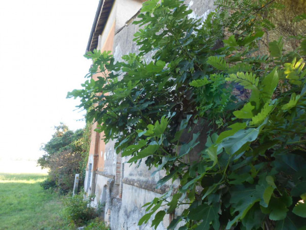 Rustico/Casale in vendita a Agnadello, Periferia, Con giardino, 1455 mq - Foto 12