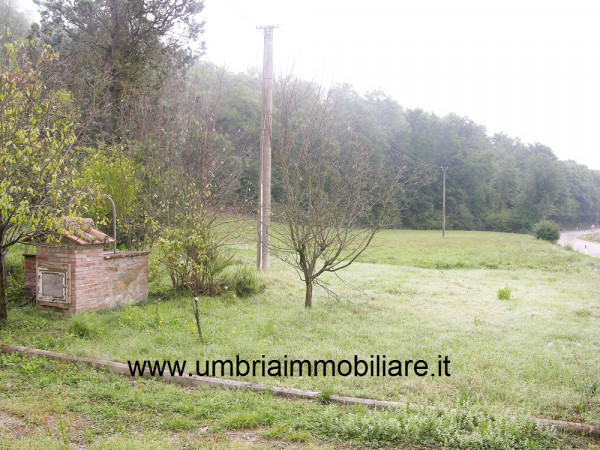 Rustico/Casale in vendita a Panicale, Con giardino, 105 mq - Foto 8