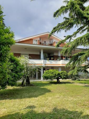 Immobile in vendita a Giugliano in Campania, Lago Patria, Con giardino, 6000 mq - Foto 11