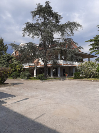 Immobile in vendita a Giugliano in Campania, Lago Patria, Con giardino, 6000 mq - Foto 12