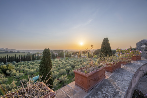 Rustico/Casale in vendita a Frascati, Con giardino, 900 mq - Foto 6