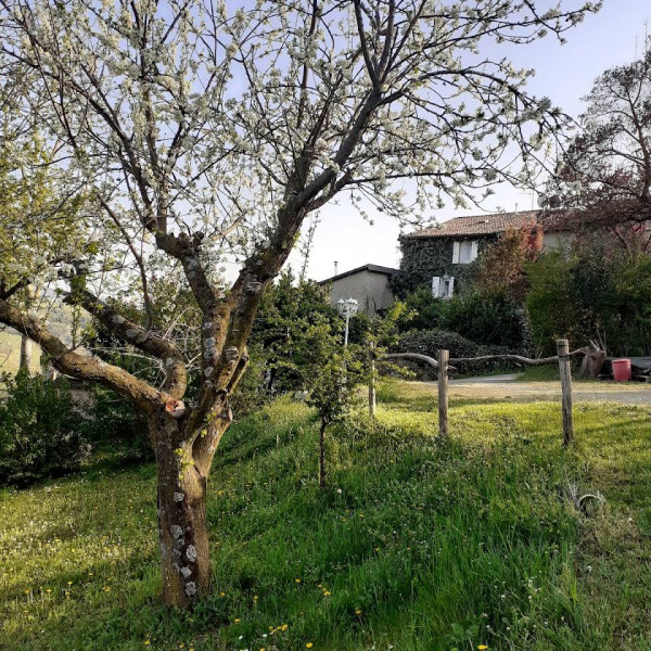Rustico/Casale in vendita a Canossa, Collinare, Con giardino, 585 mq - Foto 16