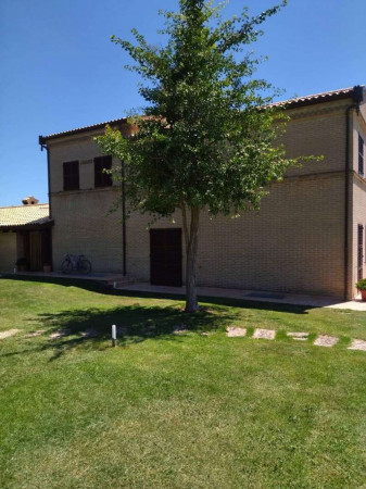 Villa in vendita a Porto Sant'Elpidio, Porto Sant' Elpidio, Con giardino, 600 mq - Foto 1