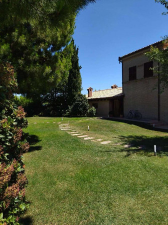Villa in vendita a Porto Sant'Elpidio, Porto Sant' Elpidio, Con giardino, 600 mq - Foto 5