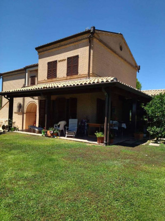 Villa in vendita a Porto Sant'Elpidio, Porto Sant' Elpidio, Con giardino, 600 mq - Foto 8