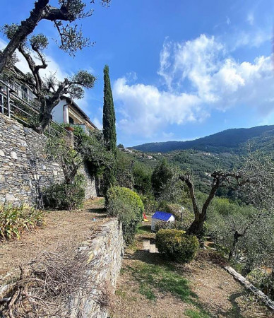 Villa in vendita a Lavagna, Santa Giulia, Con giardino, 160 mq - Foto 4
