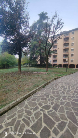 Appartamento in vendita a Crema, Residenziale, Con giardino, 159 mq - Foto 2
