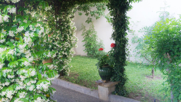 Appartamento in vendita a Lecce, Centro Storico, Con giardino, 234 mq - Foto 7