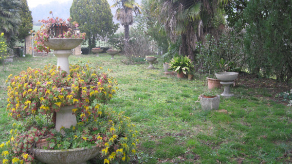 Rustico/Casale in vendita a Castiglione in Teverina, Con giardino, 130 mq - Foto 38