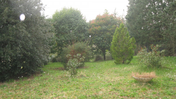 Rustico/Casale in vendita a Castiglione in Teverina, Con giardino, 130 mq - Foto 32