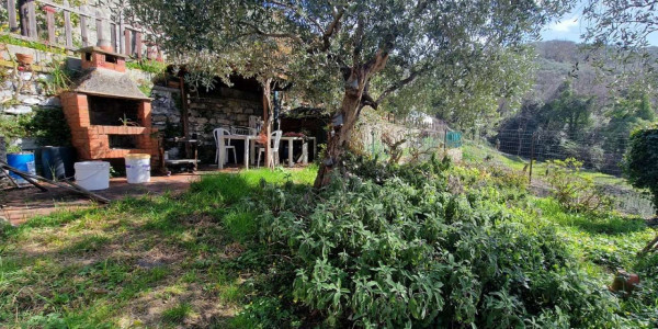 Casa indipendente in vendita a Chiavari, Residenziale, Con giardino, 240 mq - Foto 3