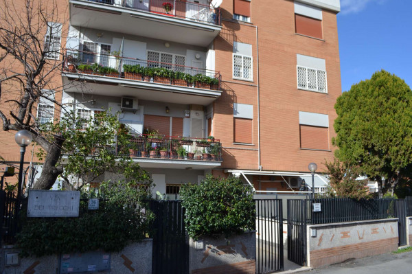 Appartamento in affitto a Roma, Bravetta-casetta Mattei, Con giardino, 45 mq - Foto 3