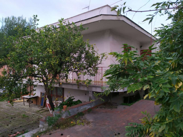 Villa in vendita a Somma Vesuviana, Centrale, Con giardino, 350 mq - Foto 12