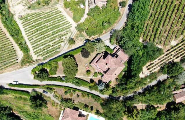 Villa in vendita a Castel Boglione, Serra, Con giardino, 600 mq - Foto 25
