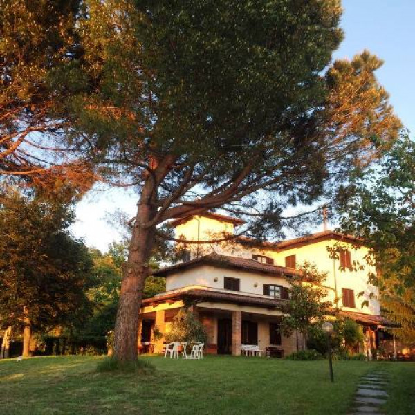 Villa in vendita a Castel Boglione, Serra, Con giardino, 600 mq - Foto 24