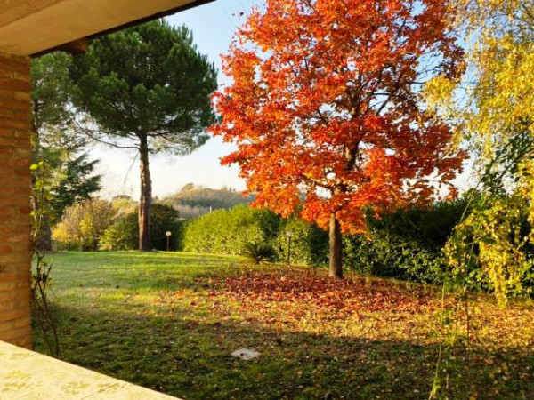 Villa in vendita a Castel Boglione, Serra, Con giardino, 600 mq - Foto 14