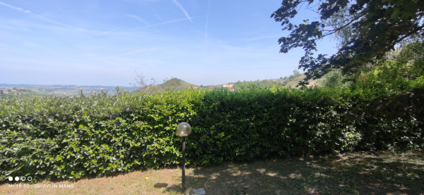 Villa in vendita a Castel Boglione, Serra, Con giardino, 600 mq - Foto 66