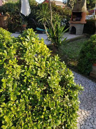 Villa in vendita a Bagnolo Cremasco, Residenziale, Con giardino, 157 mq - Foto 15