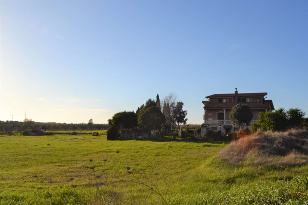 Villa in vendita a Cerveteri, Con giardino, 310 mq - Foto 5