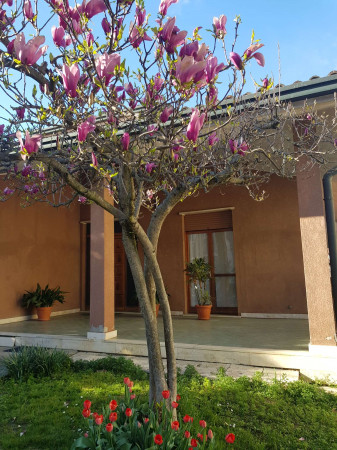 Villa in vendita a Pianengo, Residenziale, Con giardino, 268 mq - Foto 5