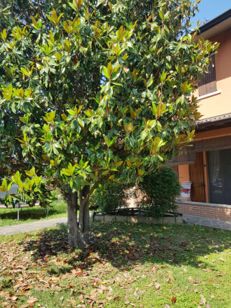 Villa in vendita a Vaiano Cremasco, Residenziale, Con giardino, 154 mq