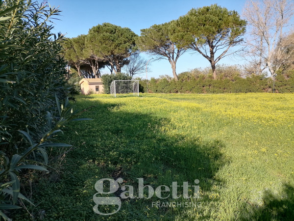 Villetta a schiera in vendita a Campofelice di Roccella, Mare, Con giardino, 85 mq - Foto 13