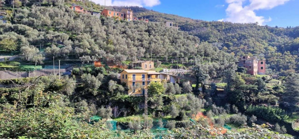 Casa indipendente in vendita a Cogorno, Residenziale, Con giardino, 250 mq - Foto 4