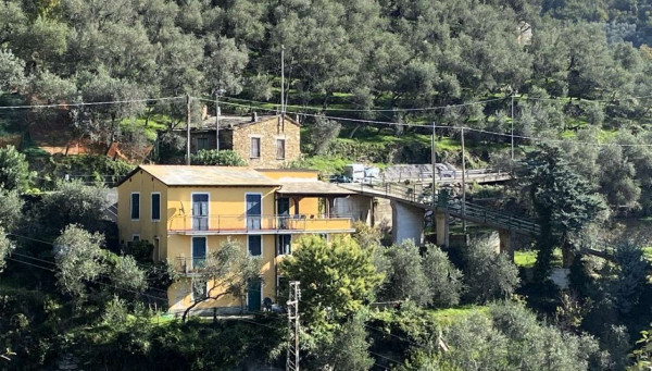 Casa indipendente in vendita a Cogorno, Residenziale, Con giardino, 250 mq