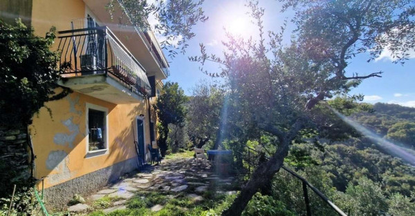 Casa indipendente in vendita a Cogorno, Residenziale, Con giardino, 250 mq - Foto 22