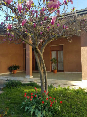 Villa in vendita a Pianengo, Residenziale, Con giardino, 268 mq