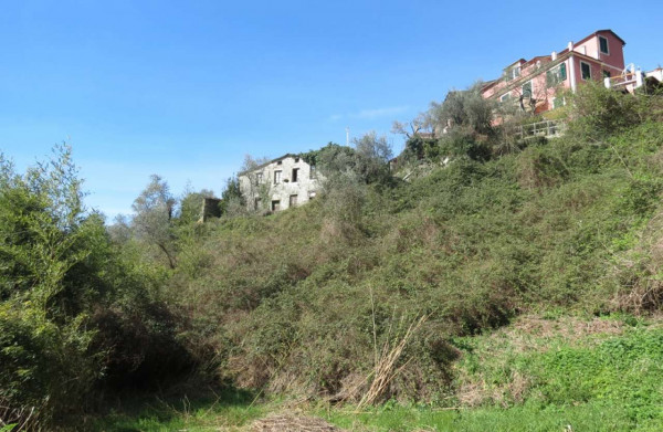 Rustico/Casale in vendita a Cogorno, Ruscalla, Con giardino, 3200 mq - Foto 21