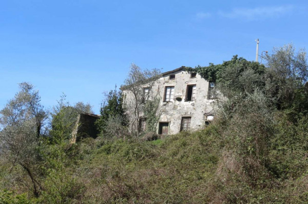 Rustico/Casale in vendita a Cogorno, Ruscalla, Con giardino, 3200 mq - Foto 28