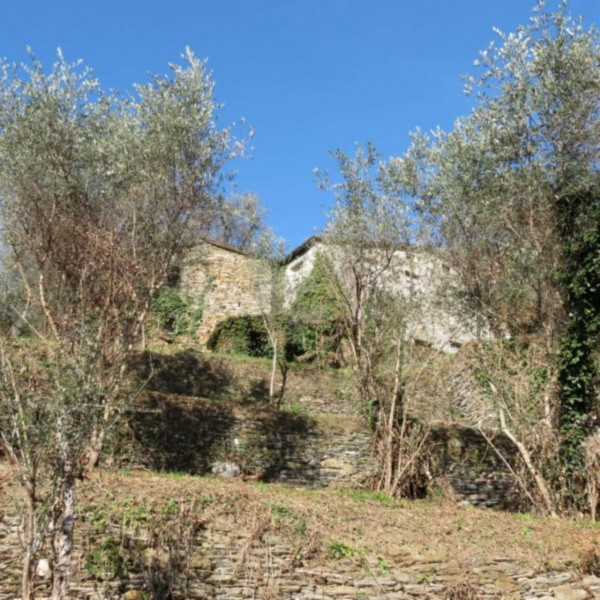 Rustico/Casale in vendita a Cogorno, Ruscalla, Con giardino, 3200 mq - Foto 24