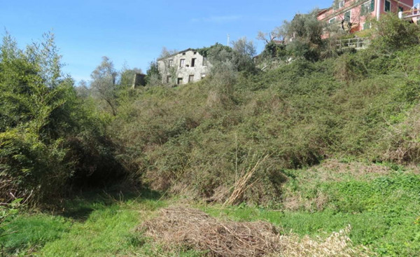 Rustico/Casale in vendita a Cogorno, Ruscalla, Con giardino, 3200 mq - Foto 18